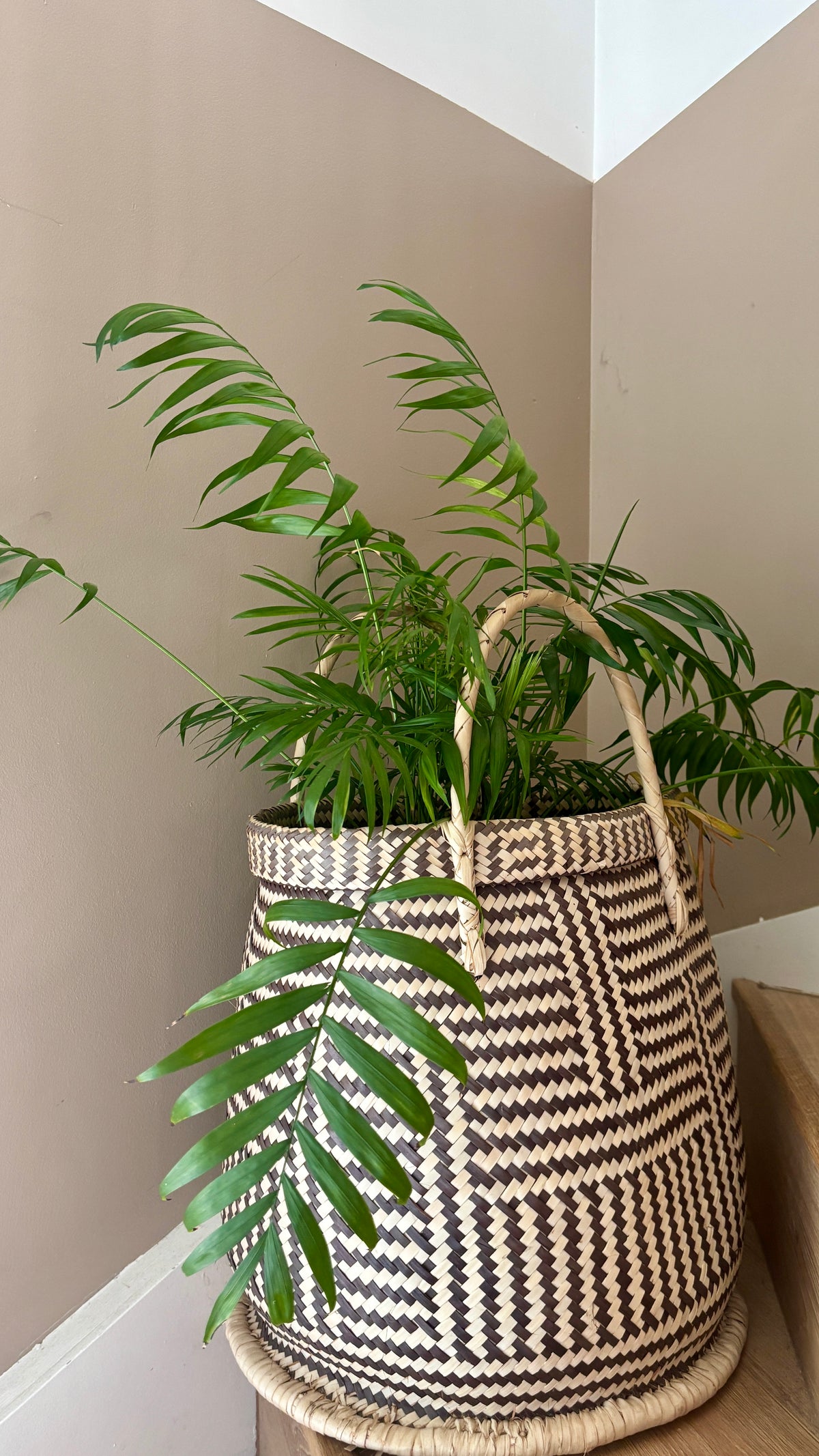 Panier cache-pot - HANS
